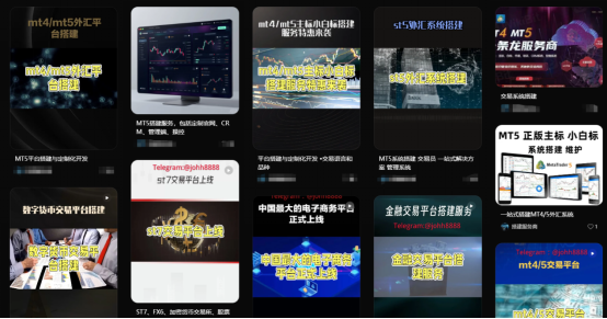 平台搭建全系列2:花冤枉钱买个“假系统”?MT4/MT5授权内幕曝光!