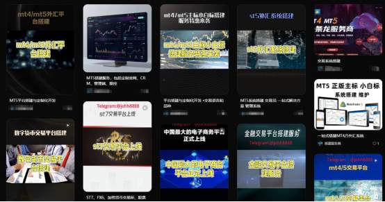 平台搭建全系列2：花冤枉钱买个“假系统”？MT4/MT5授权内幕曝光！