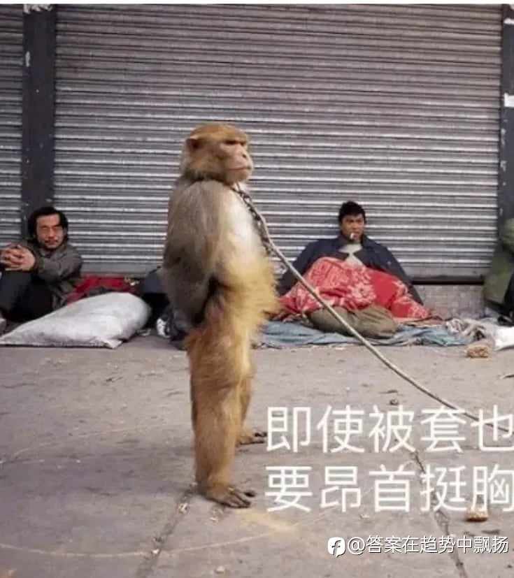 如果我们过于爽快地承认失败，就可能使自己发觉不了我们非常接近于正确