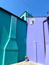 Jawara Kontes Foto iPhone yang BikinKagum, iPhone XS Ikut Unjuk Gigi