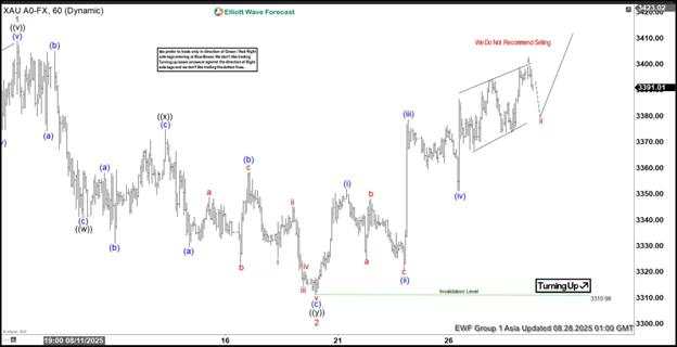 Elliott Wave analysis: Gold poised to break consolidation, eyeing new highs [Video]