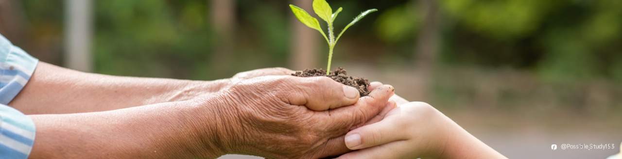 InnovPack: Leading the Way in Sustainable Packaging Solutions