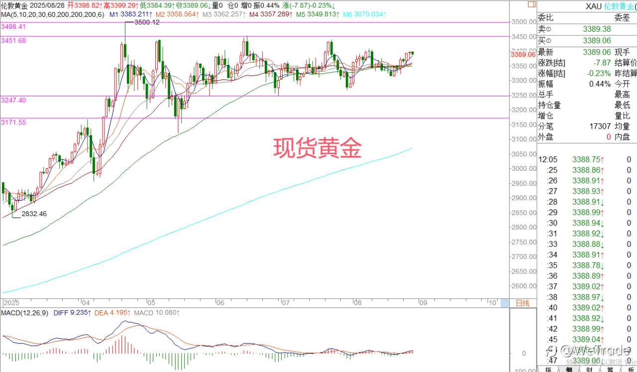 2025年8月29日|每日汇评-策略分析|王萍：黄金偏多运行保持中