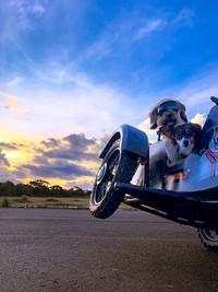 Jawara Kontes Foto iPhone yang BikinKagum, iPhone XS Ikut Unjuk Gigi