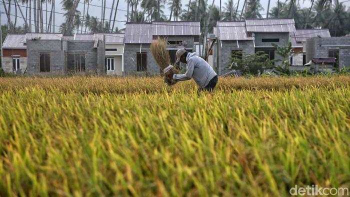 BPS Catat Nilai Tukar Petani Naik, tapi Nelayan Turun