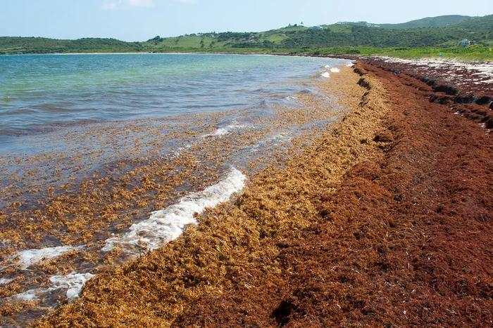 Fenomena Ajaib, Ada Laut yang Tidak Menyentuh Daratan