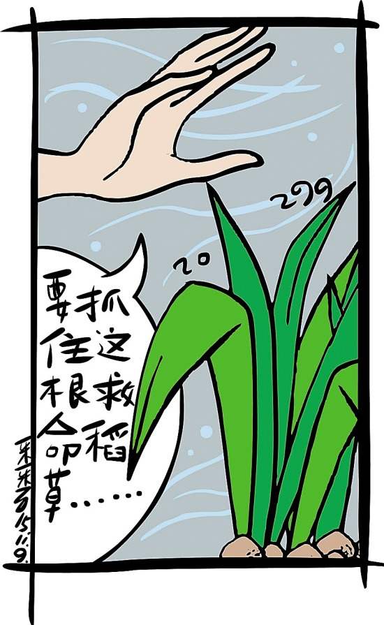 暴仓启示录