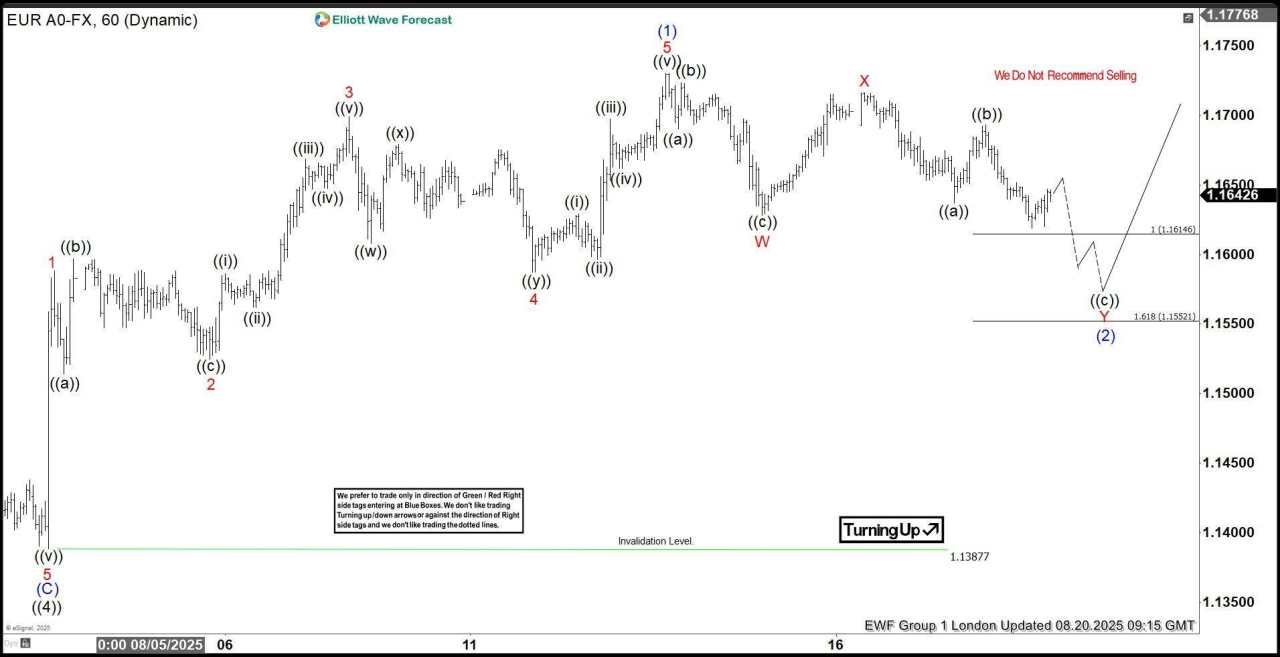 EUR/USD: Calling the rally after Elliott Wave double three pattern