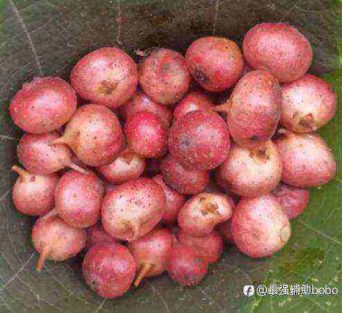 爆仓日记2:凭实力亏的钱,凭什么再赚回来?
