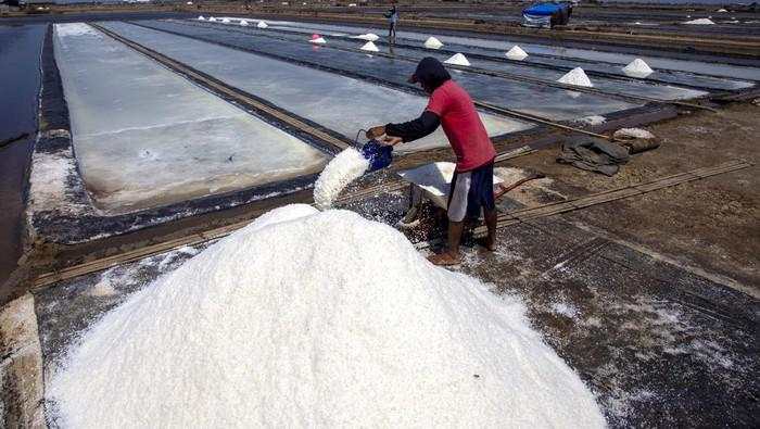 Kejar Swasembada Garam, KKP Bidik Produksi 2 Juta Ton di NTT