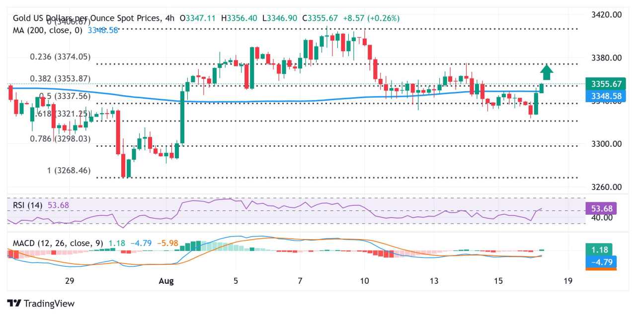 Gold rebounds from two-week low ahead of Trump-Zelensky meeting