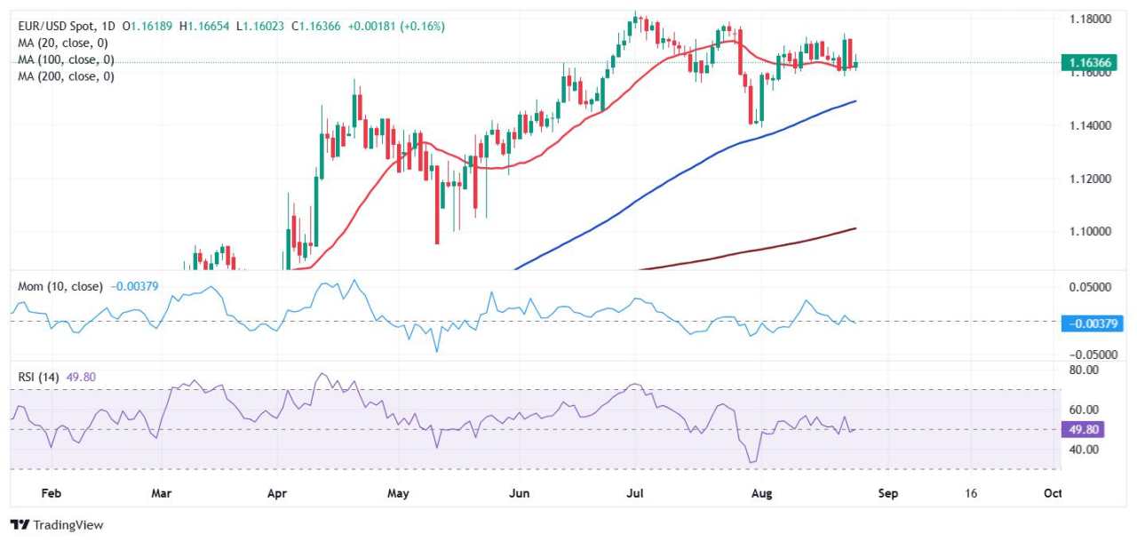 EUR/USD threads water below 1.1650