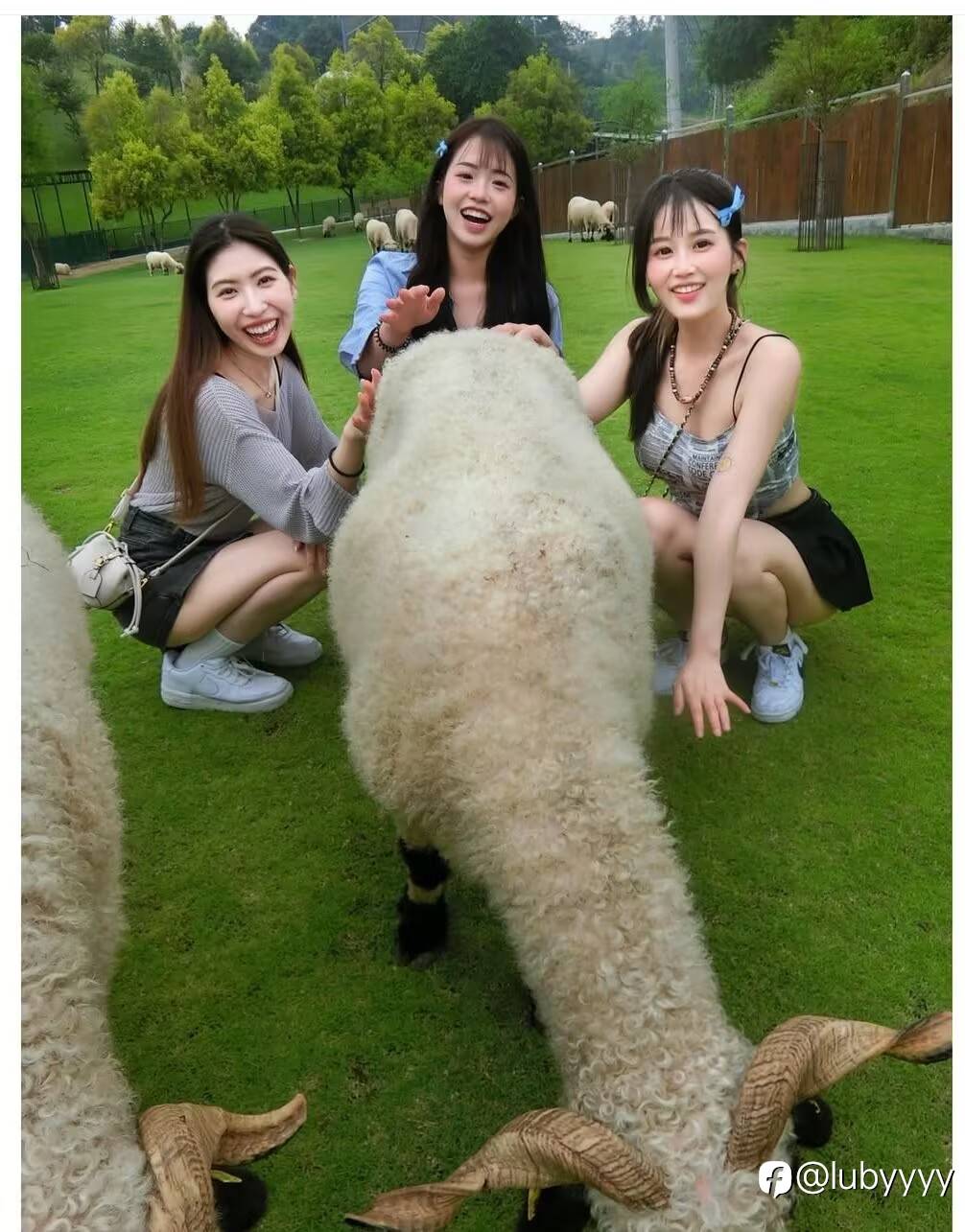 feed-image-1