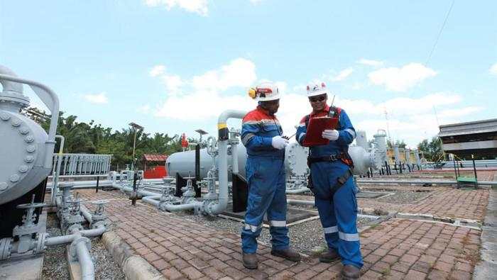 Semester I 2025, Produksi PHE Capai 1,04 Juta Barel Setara Minyak Per Hari