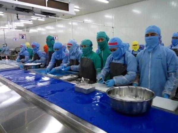 Dua Putra (DPUM) Raup Pendapatan Rp577,8 Milliar, Tumbuh 20,7 Persen di Semester I-2025