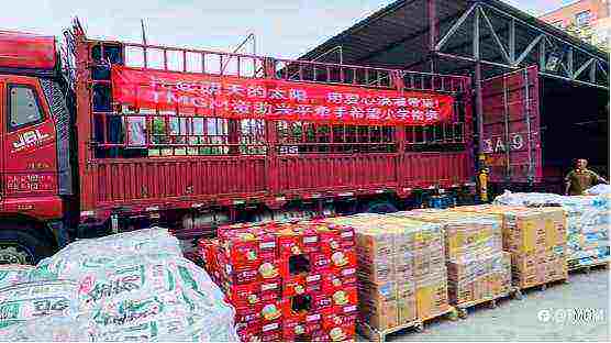 $80,000 单人头奖,$230,000 总奖分账。TMGM 交易联赛开战!