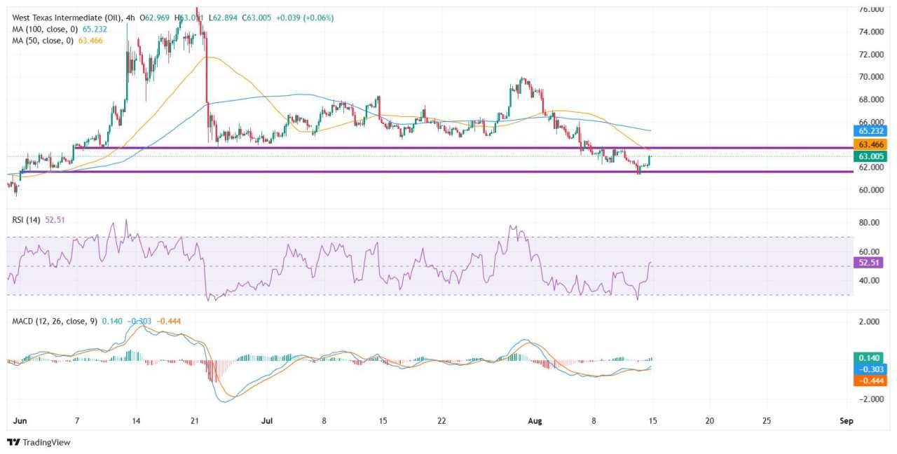 WTI rises as geopolitical tensions ahead of US-Russia summit offset bearish fundamentals