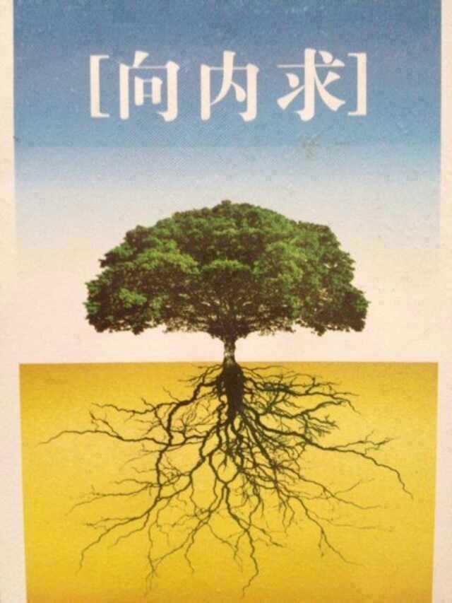 向内求取，提升自己，是征服交易领域的唯一方法