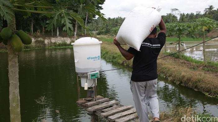 Eks CEO eFishery Gibran Huzaifah Ditangkap, Ini Kasus yang Menjeratnya