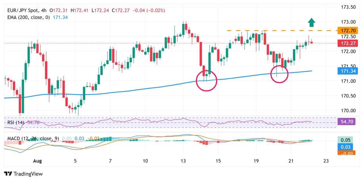 EUR/JPY Price Forecast: Holds above 172.00; bullish technical setup backs positive outlook