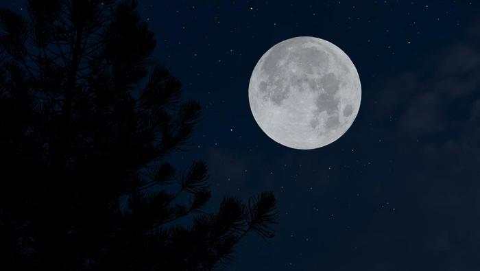 Purnama Sturgeon Moon Nanti Malam, Jam, dan Penjelasannya