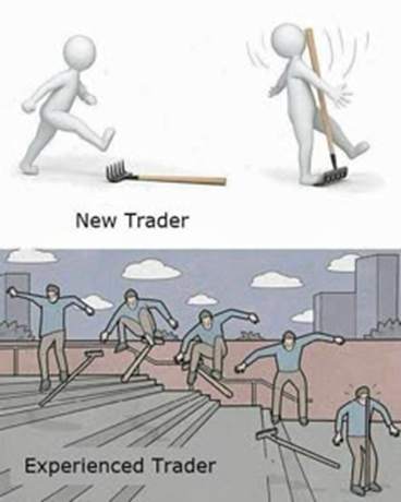 Beginilah gambaran trader pemula dan pro trader: