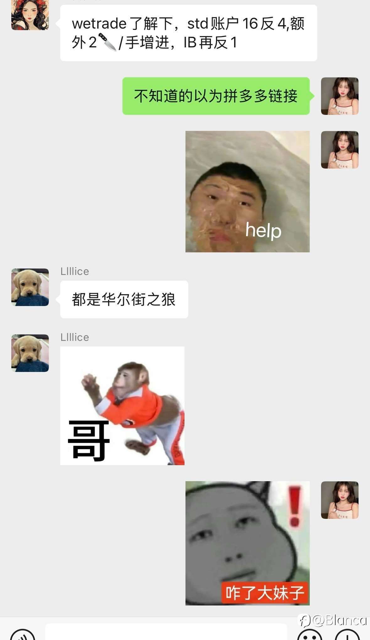 每天公司群搞抽象