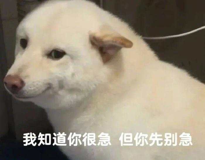 在交易市场里，有时候 “懒” 一点反而更好