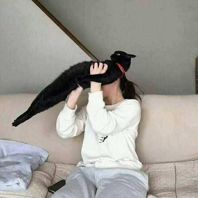 Aksi Kocak Para Kucing yang Bikin Nyengir, Gemasnya!