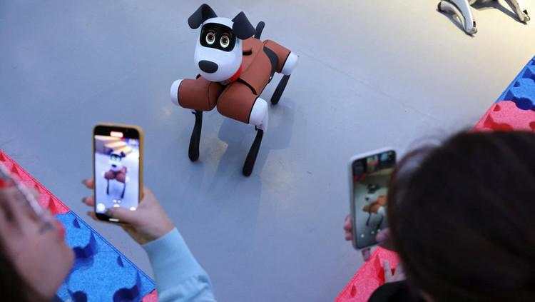 Beijing Luncurkan Toko Robot, Jual Pelayan hingga Anjing Pintar