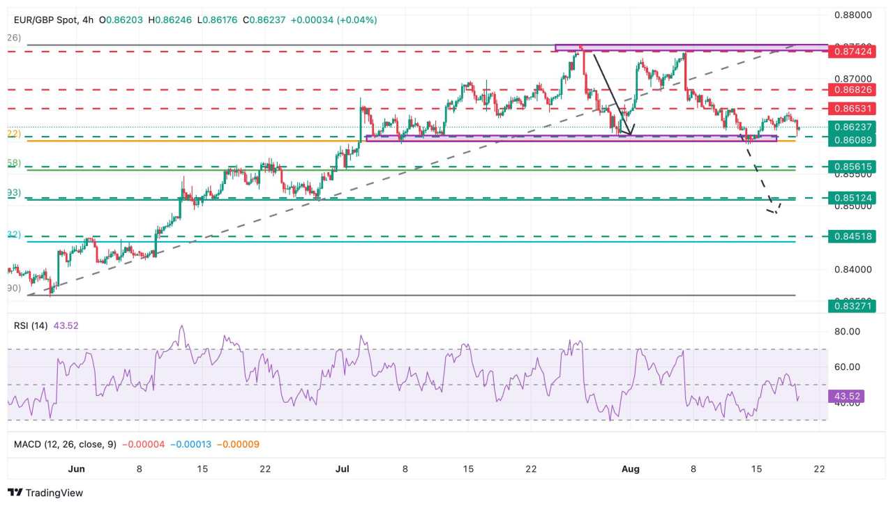 EUR/GBP Price Forecast: Testing key support at the 0.8600 area