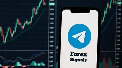 GRUP BERBAYAR TRADING FOREX: SOLUSI TRADER PEMULA ATAU SUMBER KERUGIAN?