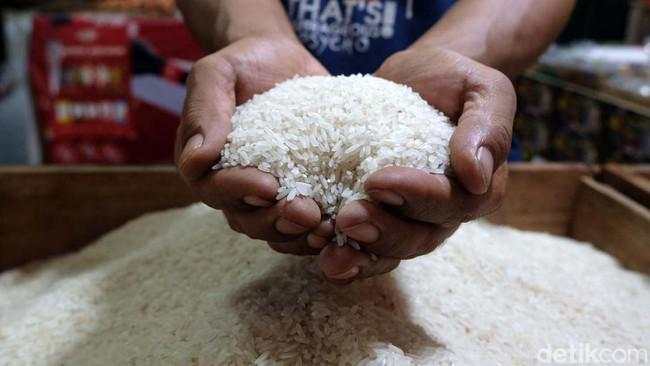 Warga RI Dihantam Kenaikan Harga Beras dan Biaya Pendidikan