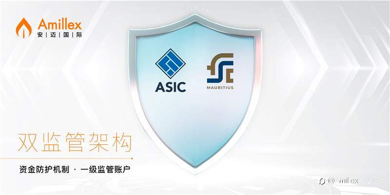 Amillex ：150万美元专业赔偿险，全面构建客户资金防护体系