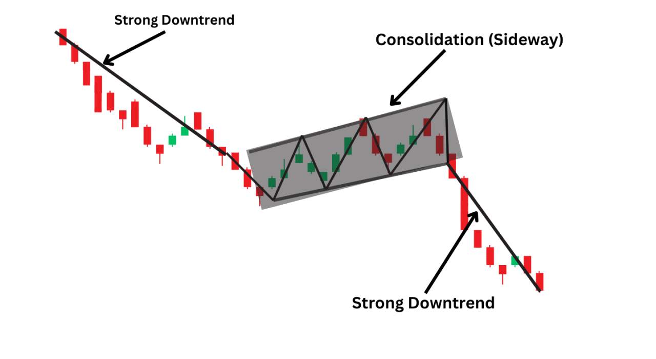 POLA TRADING MASTERY: MEMBANGUN DISIPLIN BAJA ALA TRADER FOREX PRO DUNIA