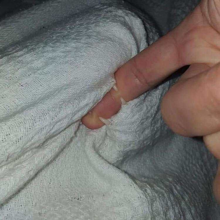 Aksi Kocak Para Kucing yang Bikin Nyengir, Gemasnya!