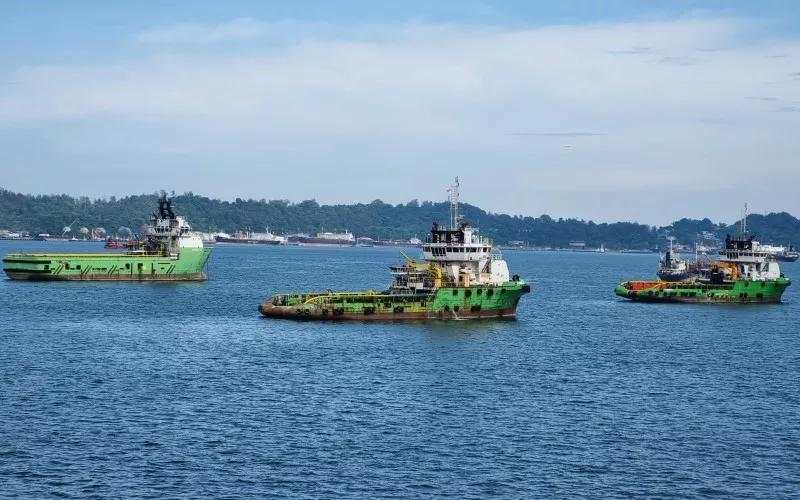 Perkuat Bisnis Kargo Curah, ELPI Trans Cargo Akuisisi Dua Kapal Senilai Rp48 Miliar