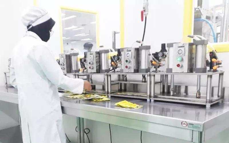 Sido Muncul (SIDO) Cetak Laba Bersih Rp600 Miliar di Semester I-2025