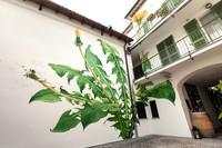 Deretan Street Art Keren yang Menyatu dengan Lingkungan