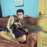 Aksi Kocak Para Kucing yang Bikin Nyengir, Gemasnya!