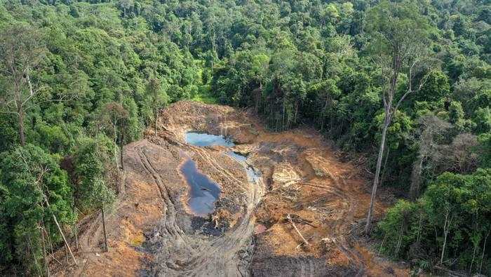 Ada Tambang Ilegal di IKN, ESDM Siap Tindak