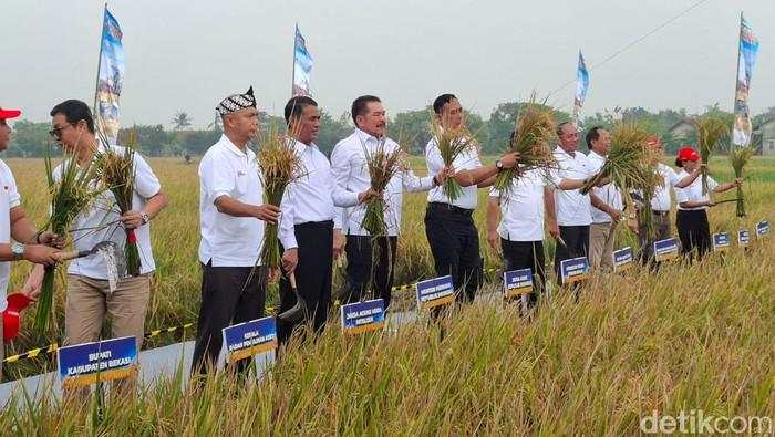 Lahan Sitaan Benny Tjokro Digarap Jadi Sawah, Bisa Hasilkan 2.640 Ton Gabah
