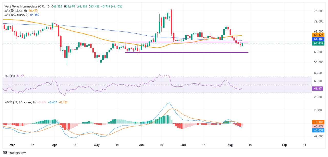 WTI Crude Oil steadies after seven-day slide, markets eye US-Russia peace talks