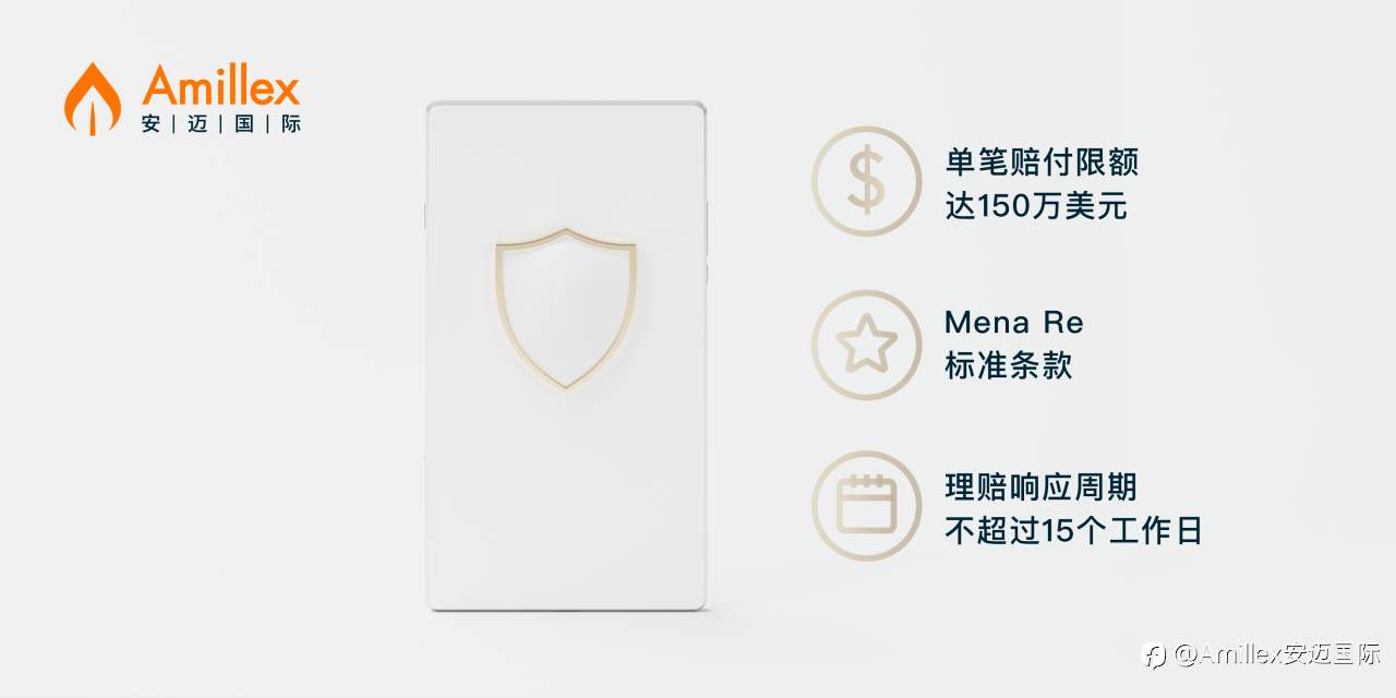 Amillex ：150万美元专业赔偿险，全面构建客户资金防护体系