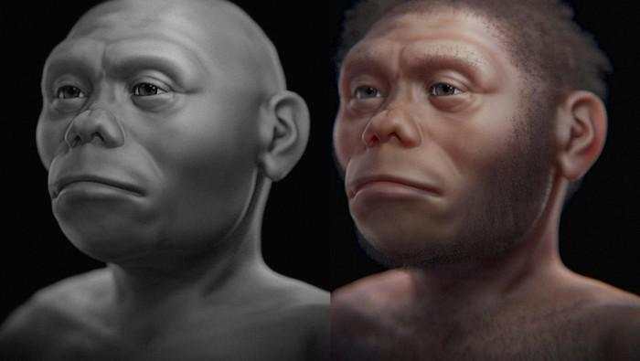 Manusia Hobbit Asal Flores Otaknya Kecil, Ilmuwan Teliti Alasannya