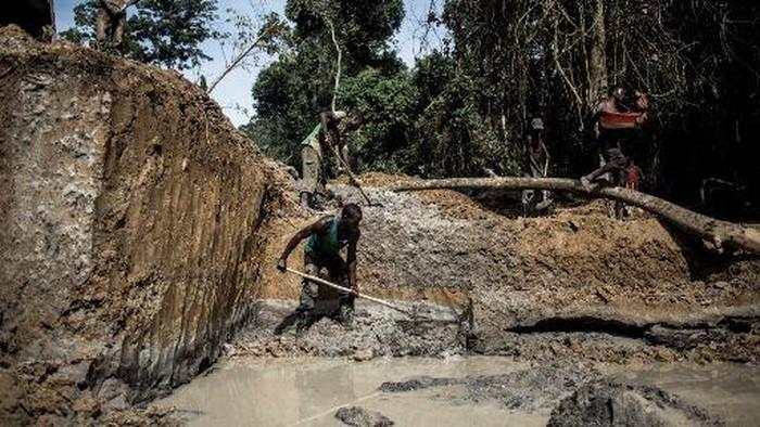 Gunung Emas Kongo yang Bikin Geger, Warga Keruk Pakai Tangan