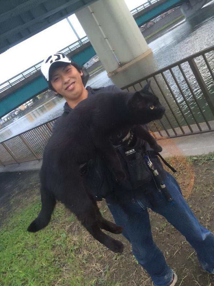 Hewan-hewan ini Punya Tubuh Luar Biasa Besar, Bikin Kaget!