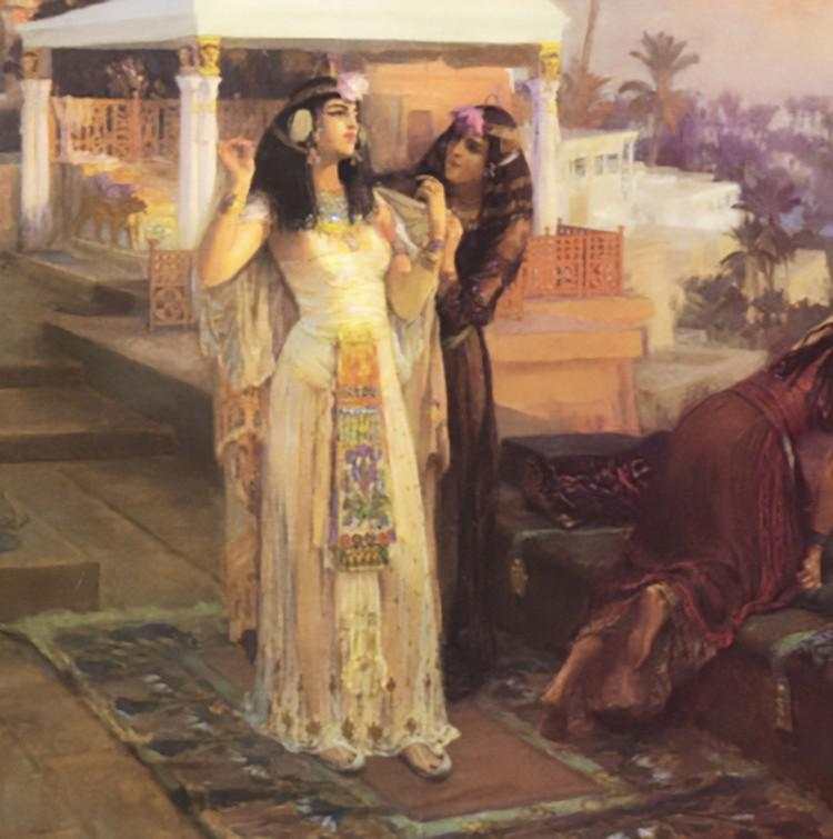 Tragedi Nyata! Tokoh Terkenal Dunia yang Tewas Tragis Akibat Hewan