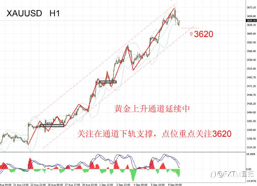 【FXTM富拓】“数字黄金”来了，黄金大涨