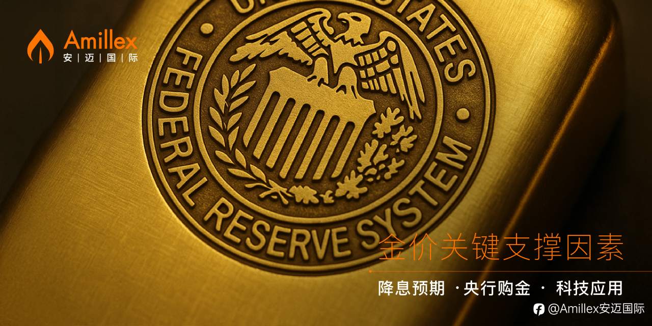 Amillex视角：解读黄金ETF持仓量，非农下修与降息预期共塑金市新格局​